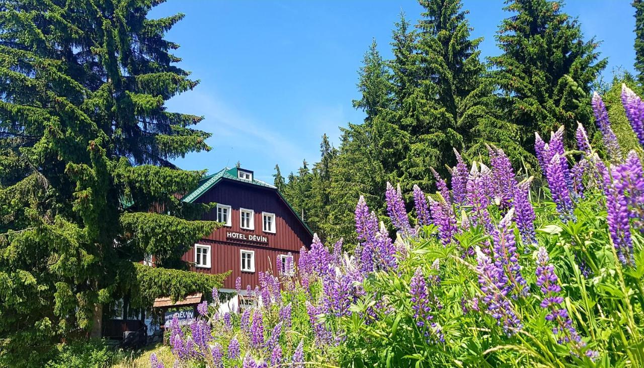 Hotel Devin Pec pod Sněžkou Exterior foto